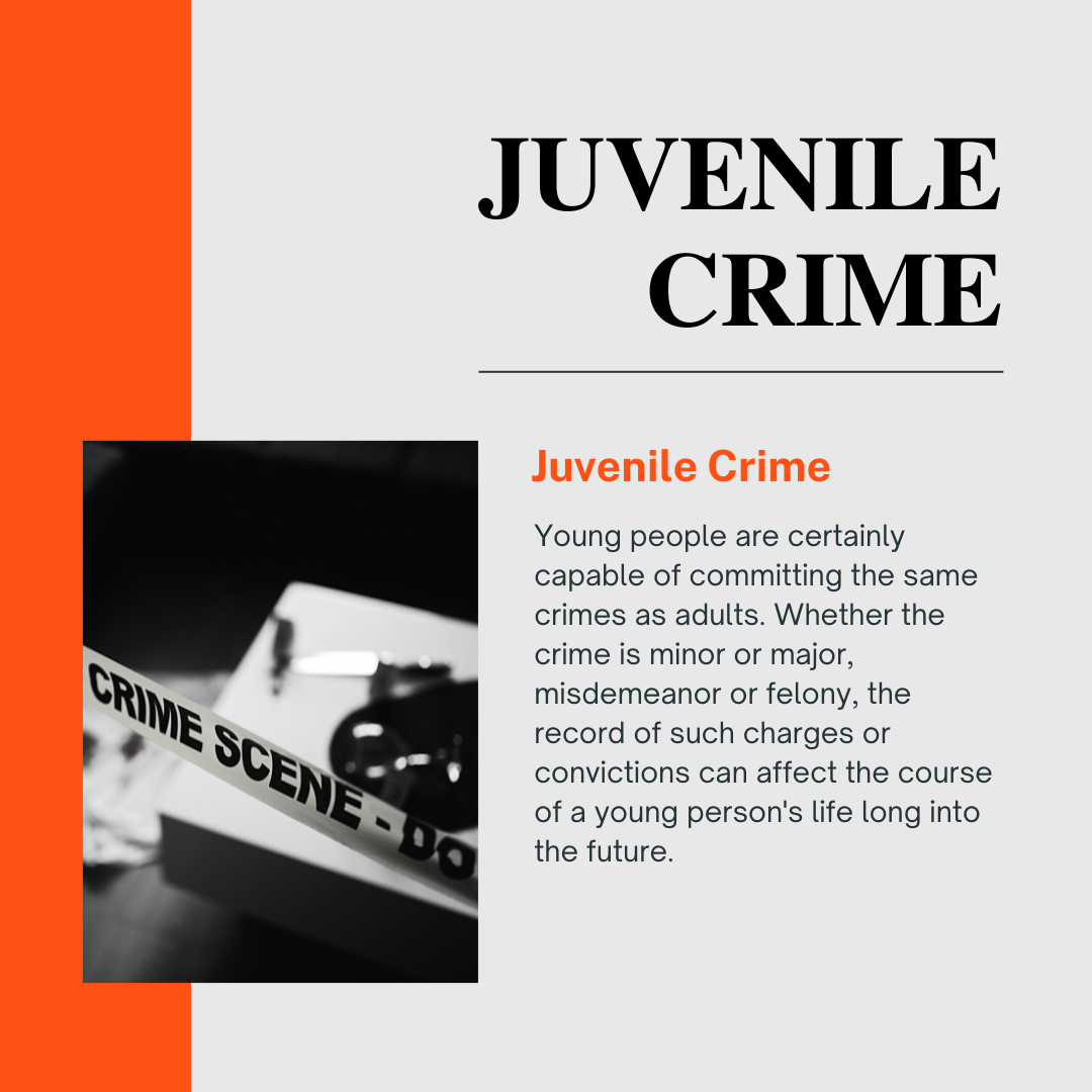  Juvenile crime